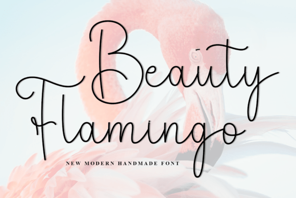 Beauty Flamingo